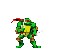 turtle :turtle: